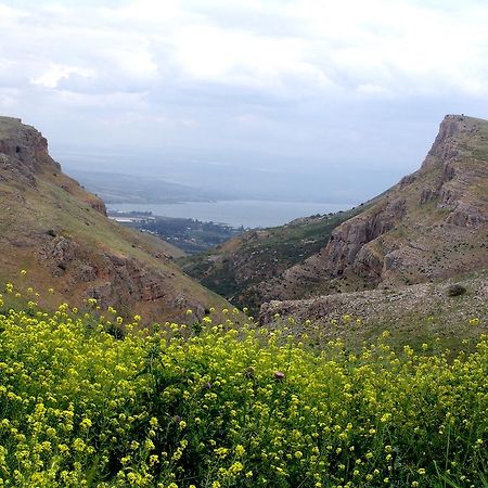 Arbel Holiday Homes Luaran gambar