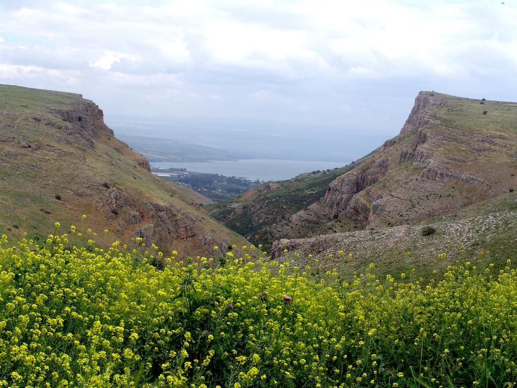 Arbel Holiday Homes Luaran gambar
